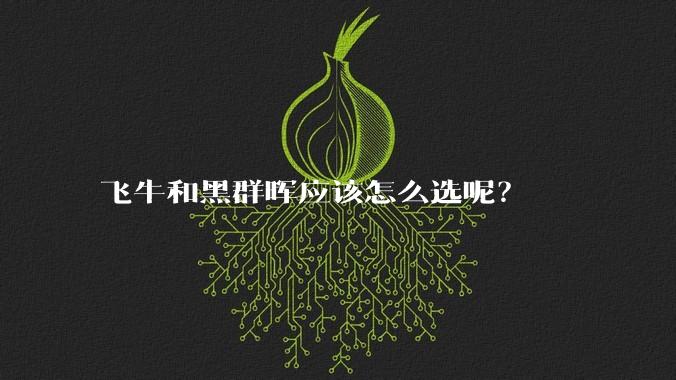 飞牛和黑群晖应该怎么选呢？
